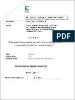 CalvacheEmilia CuadrosVitaminas Biología 4750