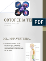 Ortopedia Tema 1