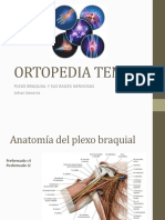 Ortopedia Tema 5