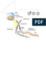 Ciencias Naturales Guia 1