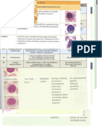 Hematologia - Apostila