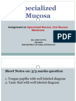 Assignment On Specialized Mucosa, Oral Mucous Membrane