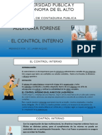 Audforense Control Interno