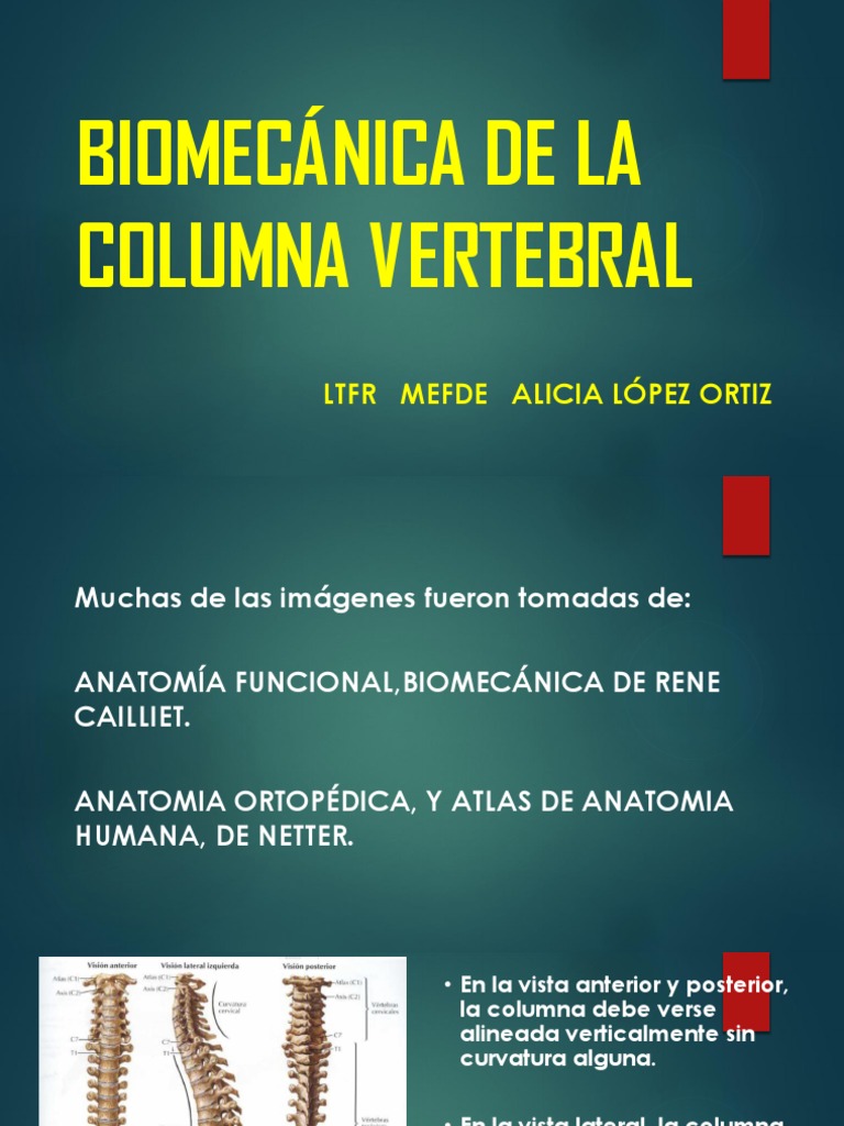 Biomecánica De La Columna Vertebral Torácica Y Lumbar – STAZIE