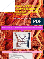 16.la Microcirculación y El Sist Linfático