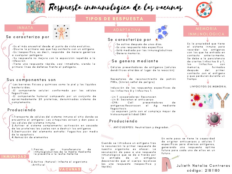 mapa-conceptual-vacunas-pdf-sistema-inmune-ant-geno
