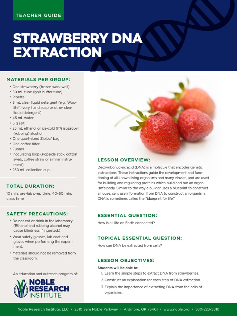 Strawberry DNA Extraction | Download Free PDF | Gene | Lysis