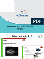 Ciencias+-+7+ano+vertebrados+peixes 2