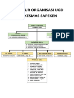 Struktur Organisasi Ugd