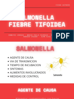 Salamonella Fiebre Tifoidea