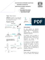 Reporte Difenil Carbinol