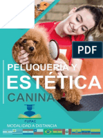 DESARROLLO DEL CURSO PELUQUERIA Y ESTETICA CANINA1