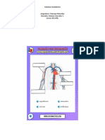 Sistema Circulatorio
