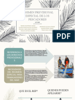 Regimen Previsional Especial Pescadores - Grupo 8