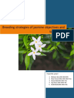 Breeding strategies of jasmine objectives and techniques