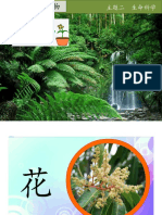 一年级科学 单元六植物 花