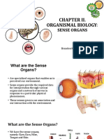 CHAPTER 2 (Sense Organs)