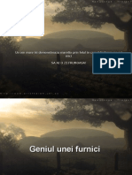 Geniul Furnicii