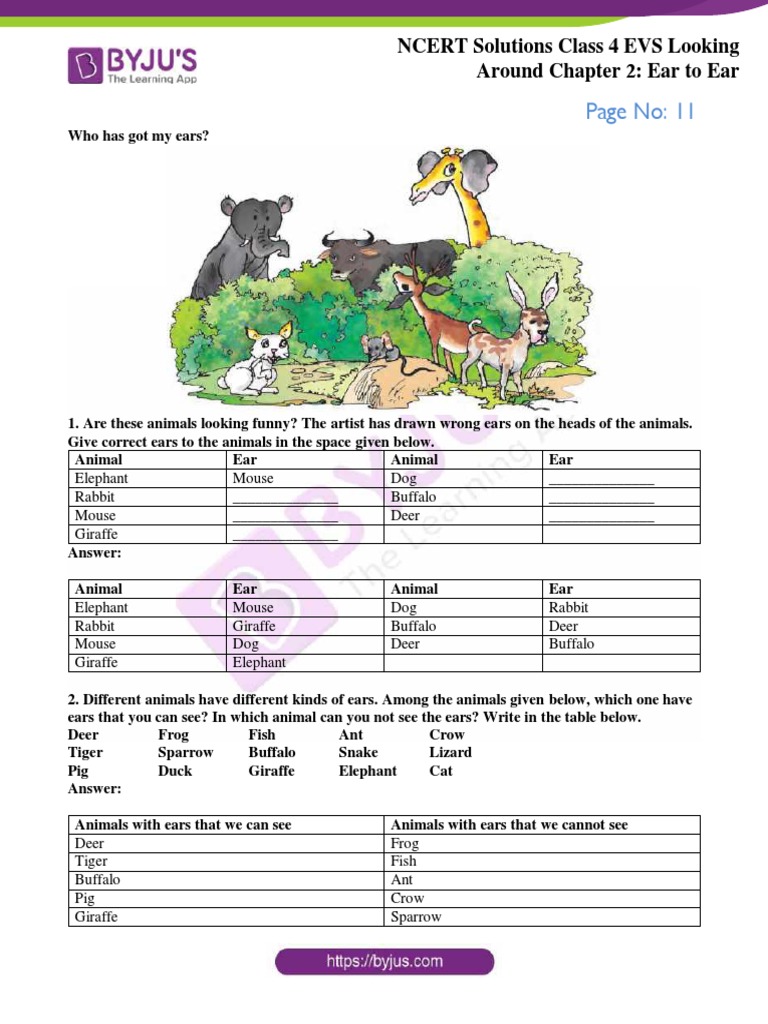 NCERT Solutions For Class 4 EVS Chapter 2 | PDF | Pet | Zoology