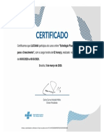 certificado sebrae 2pdf