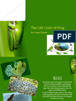 Frog Life Cycle English