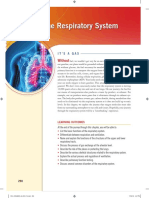 The Respiratory System: Without