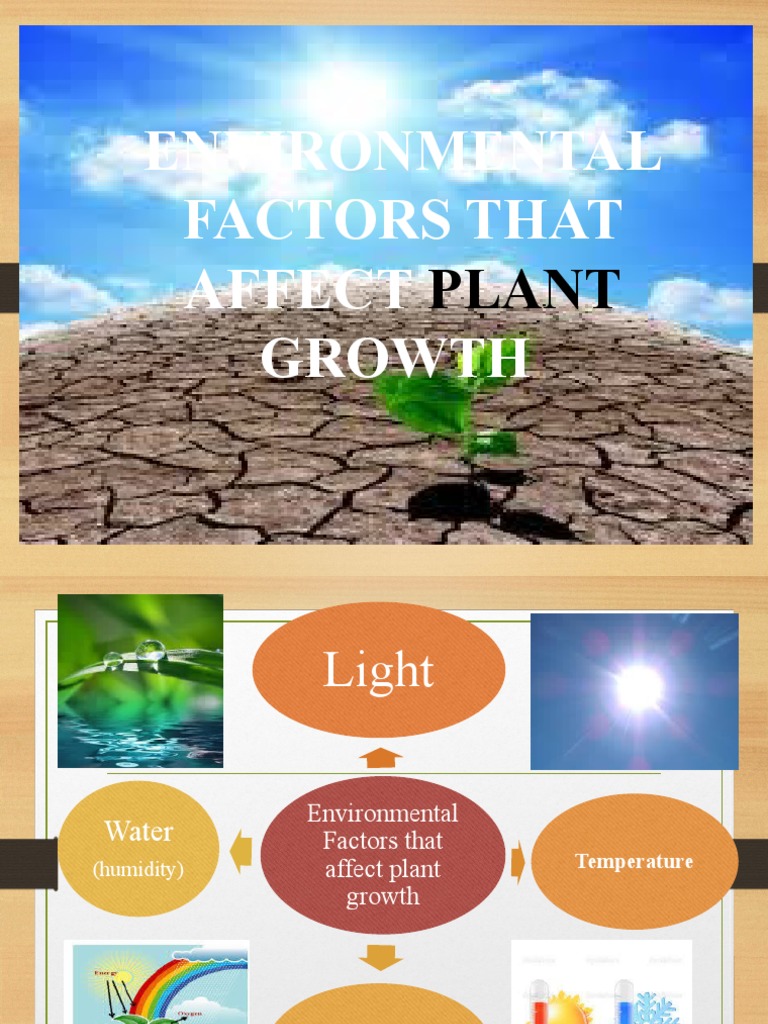 Factors Affecting Plant Growth PDF Plants Biology