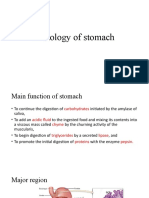 Histology of Stomach