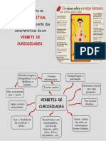 Mapa Conceitual - Verbetes de Curiosidade