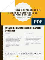 Importancia y Estructura Del Estado de Variaciones Del Capital Contable