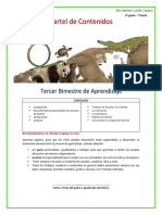 3° Bimestre CARTEL DE CONTENIDOS TUTORIA