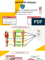 Miología