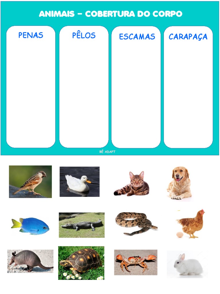 Animais - Cobertura Do Corpo Adaptado | PDF