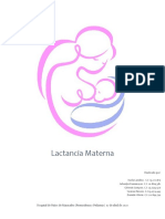 Informe Lactancia Materna Grupo. 1