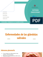 Enfermedades de Las Glándulas Salivales y Esófago