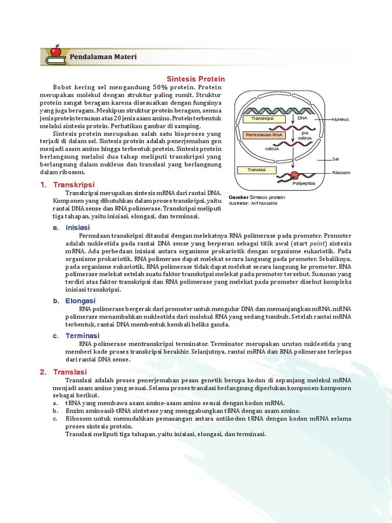 Proses Sintesis Protein dalam Sel | PDF | Sains & Matematika | Komputer