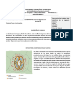 Guia II BIOLOGIA 