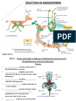 9.3 NEW 9.4 Reproduction in Angiosperms Student