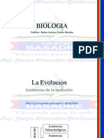 Evolucion Parte 2