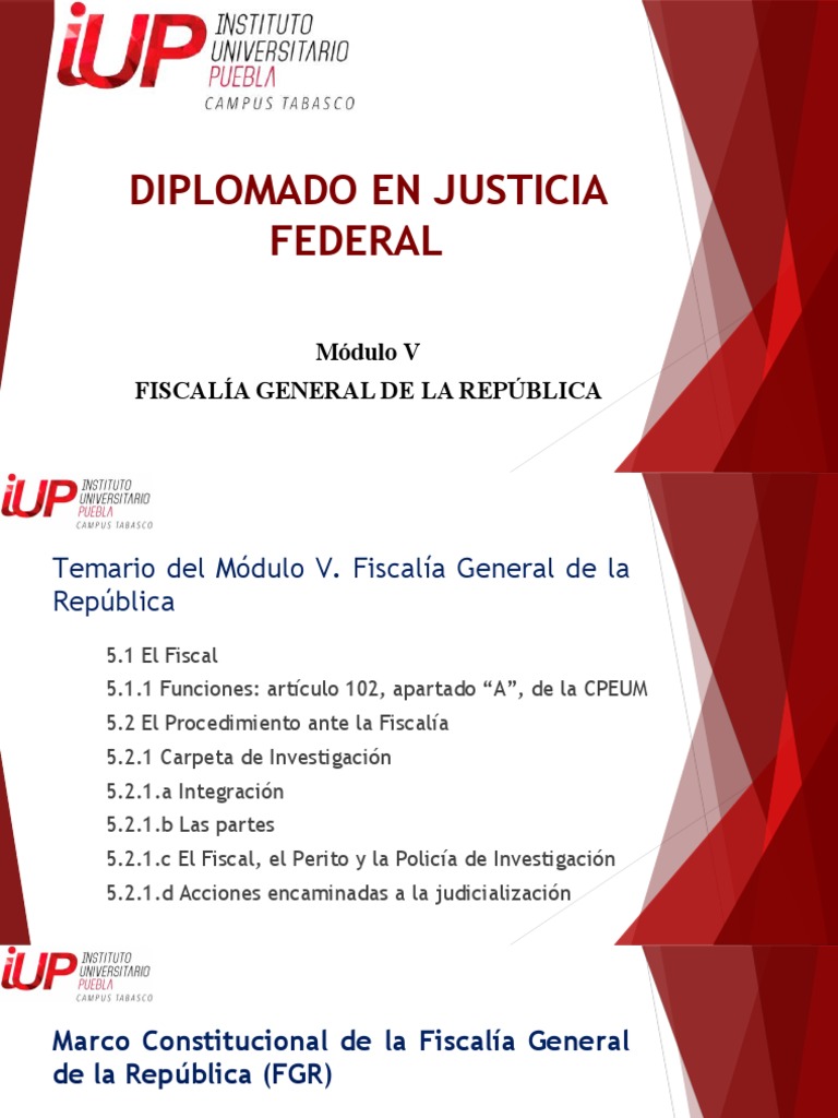 Temario Módulo V: Fiscalía General FGR | PDF | Justicia | Crimen y ...