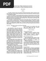 Download Anatomi Kayu Palele Castanopsis javanica by Deden Hidayatna SN51986381 doc pdf