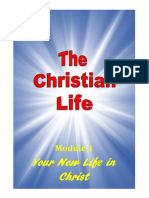 1 Your New Life in Christ.b820cfd5c201