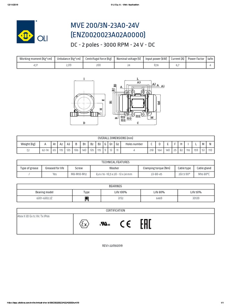OLI S.p.A. Electric Motor Technical Specifications PDF Electrical