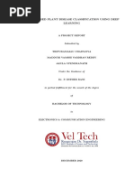 Image Based Plant Disease Classification Using Deep Learning