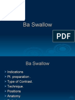 Ba Swallow