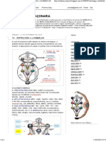 KABBALAH e MAÇONARIA - 16 - ASTROLOGIA e A KABBALAH