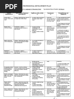 Professional Development Plan