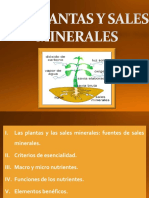 Las Plantas y Las Sales Minerales PDF