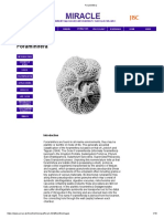 Foraminifera: UCL Homepage