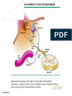 Peripheral Chemical Mediators of Pain and Hyperalgesia